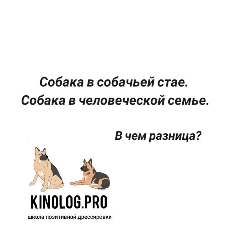 Всем доброго дня. Сейчас прибиралась в телеграм и нашла там две свои интересные статьи. Это был отве