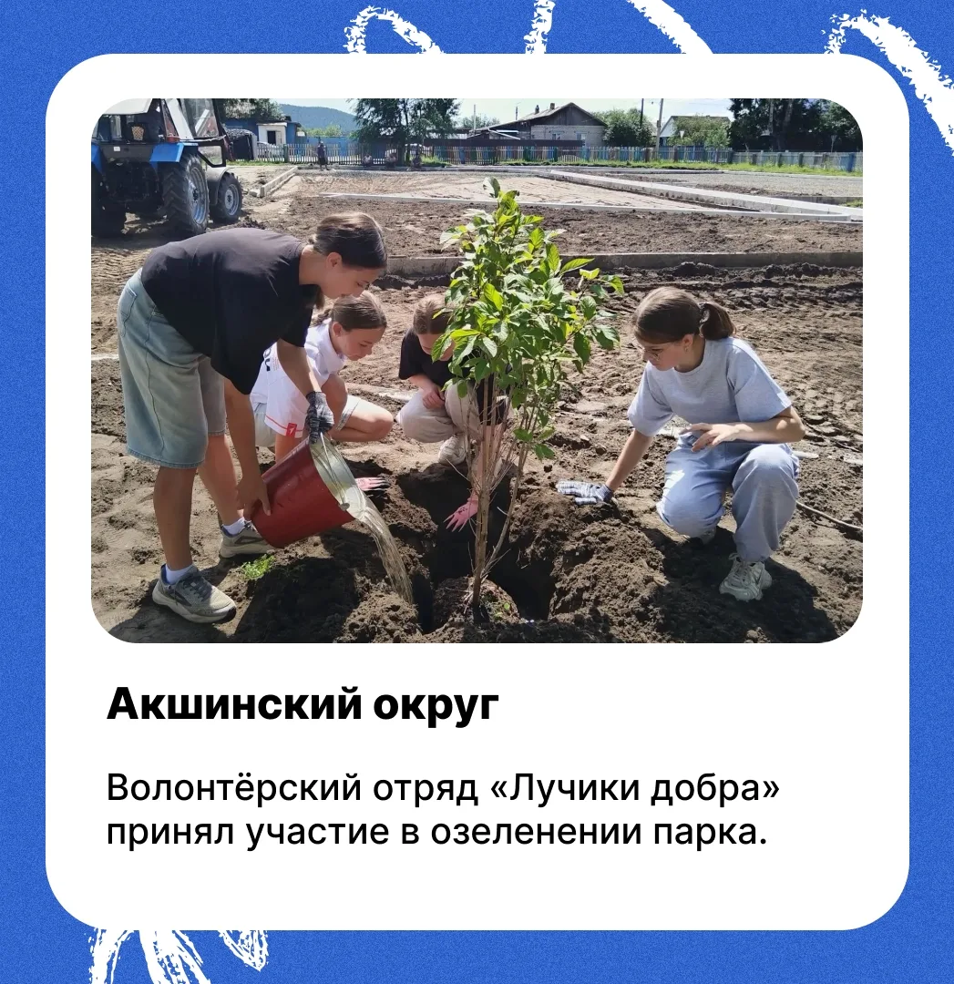 Дайджест: лето в Движении 🌿