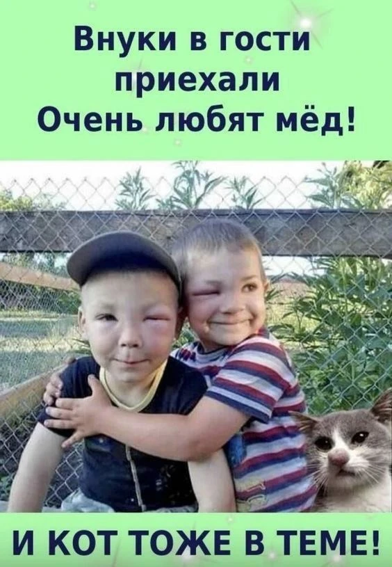 Подпишись, чтобы не потерять👇