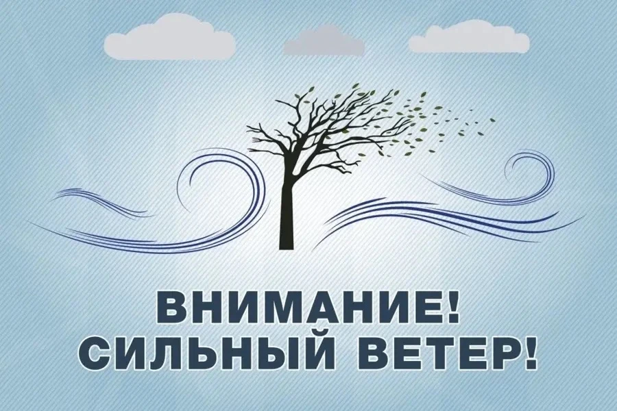🌪️ Правила безопасности при сильном ветре. 

Весна - время не только тепла, но и порывистого ветра,