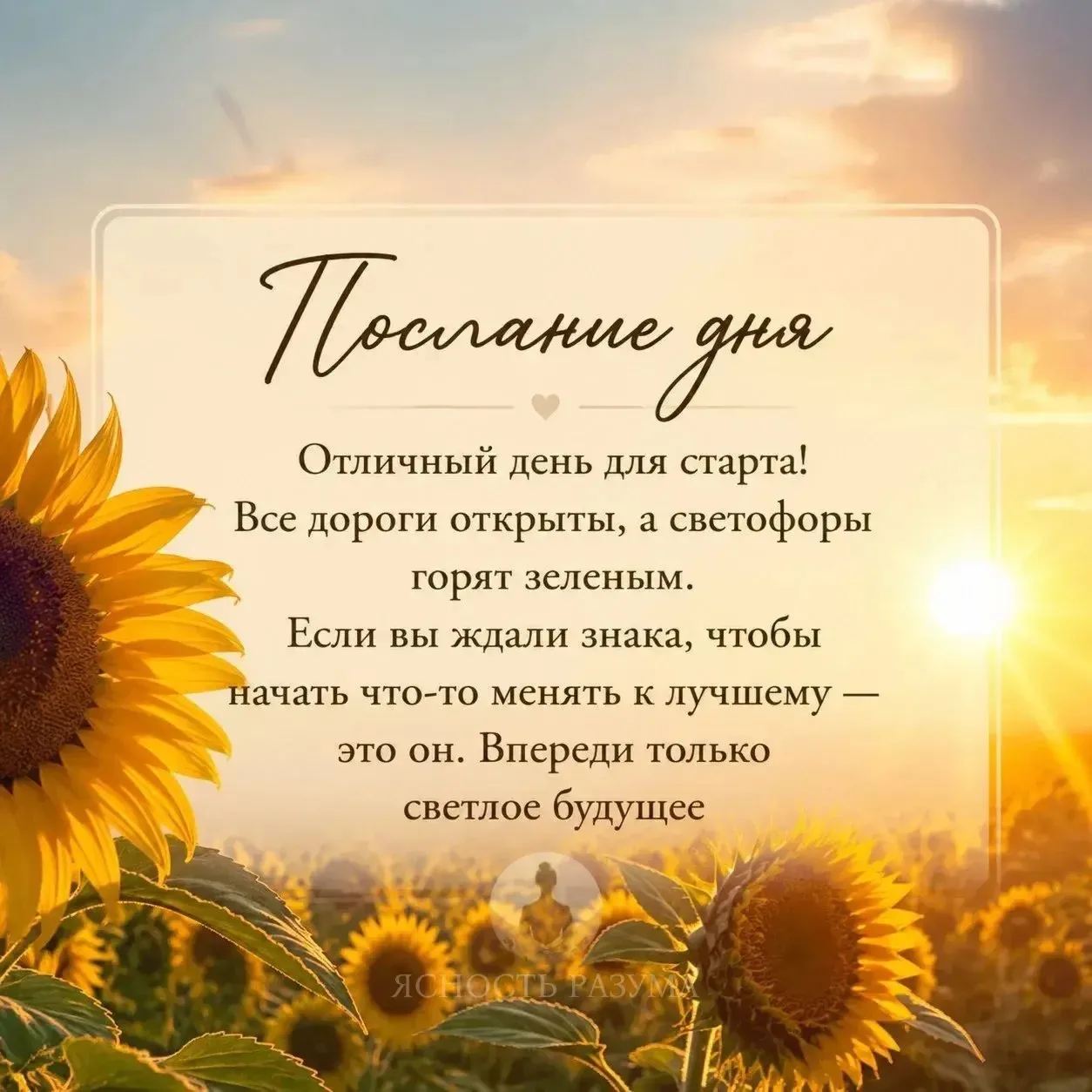 Доброе утро! ☀️ 

❤️ — Я с вдохновением открываю новую главу своей прекрасной жизни

Ясность Разума