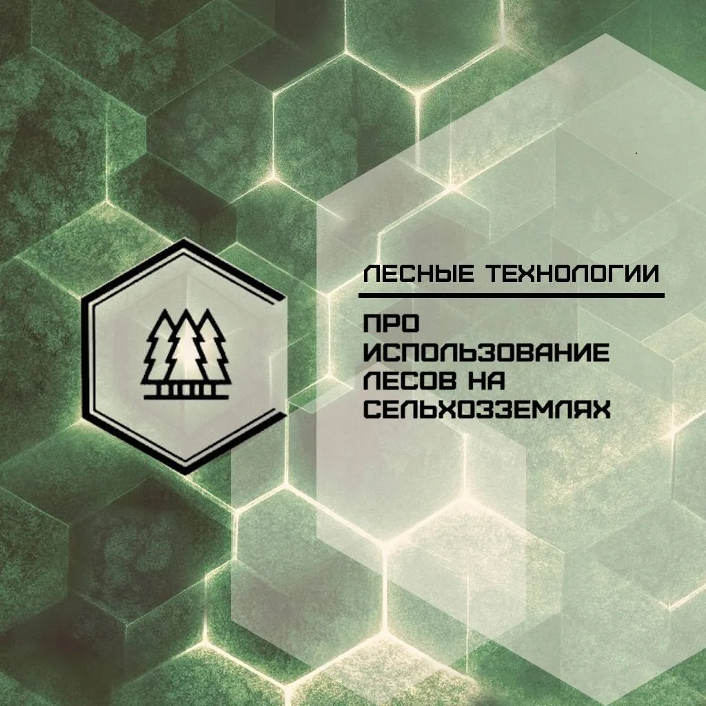 🌲 Про использование лесов на сельхозземлях