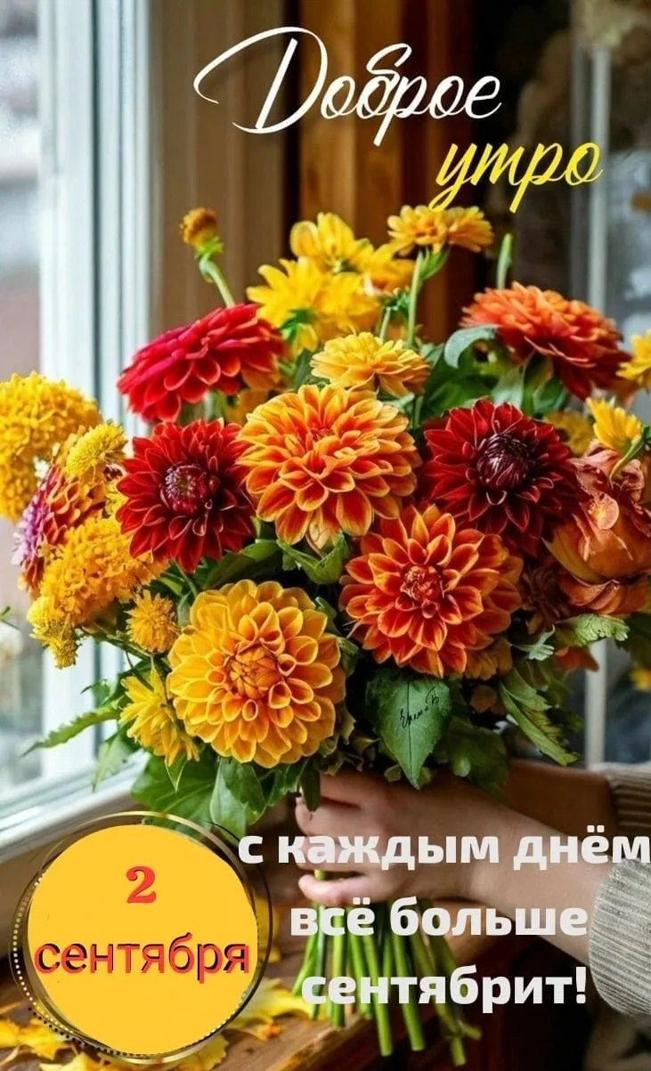 🧡🧡🧡