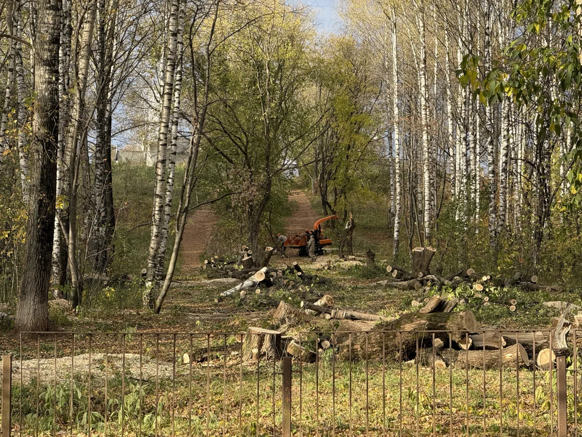 В парке у бывшего Дворца пионеров рабочие вырубили просеку.