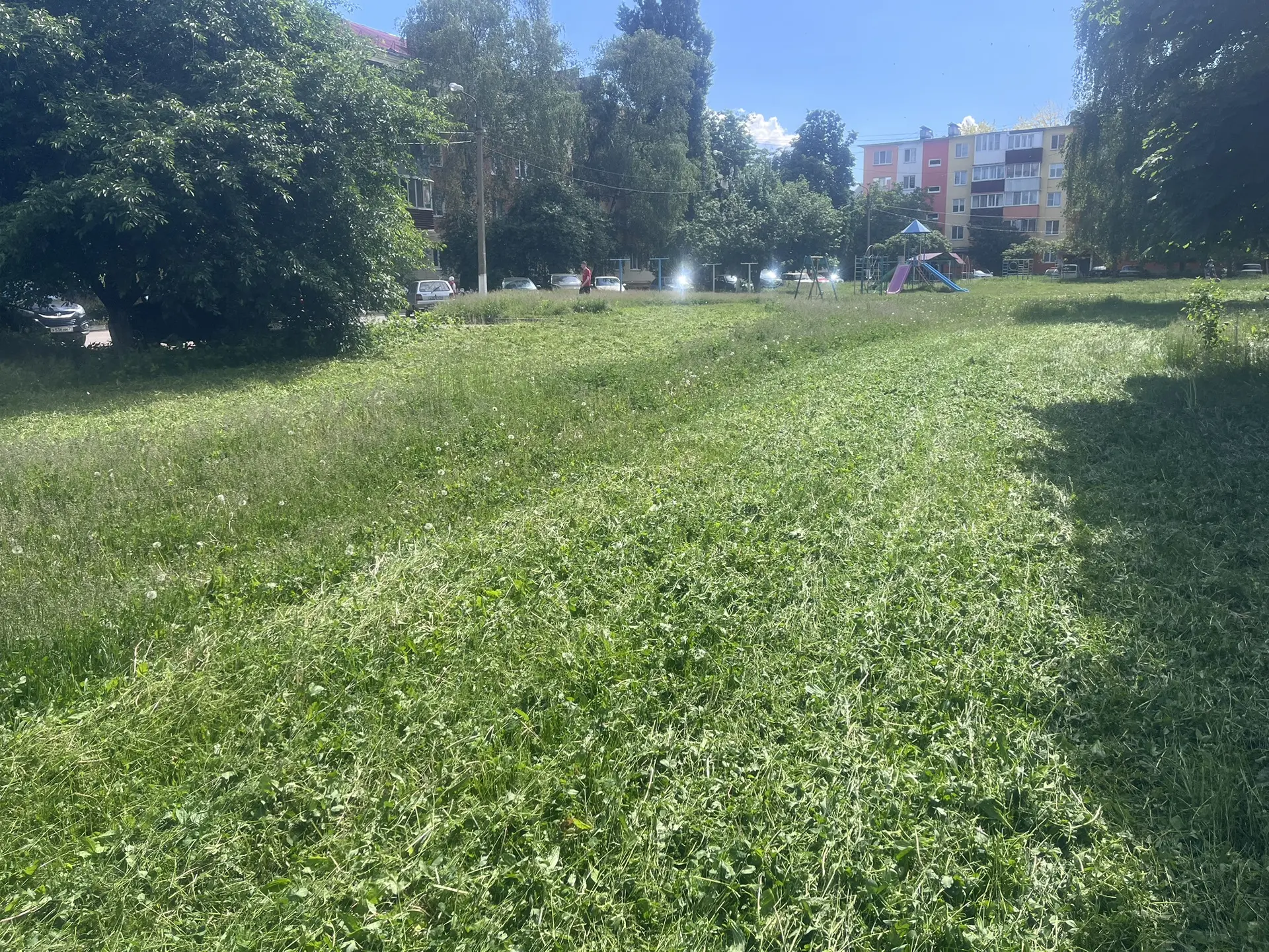 Встречайте нововведение — покос мульчером.