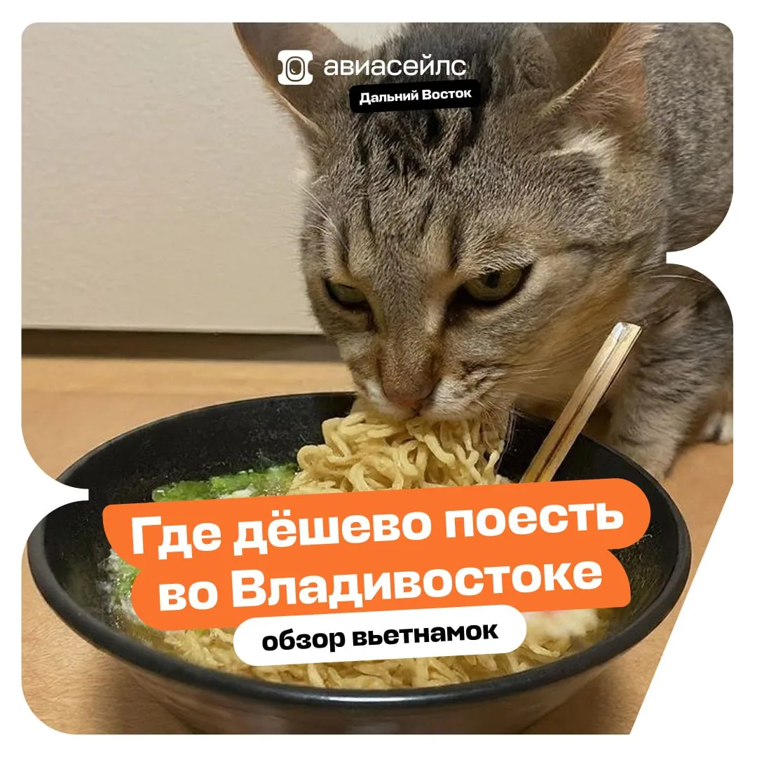 Где во Владивостоке сытно пообедать до 500 ₽ ⭐️