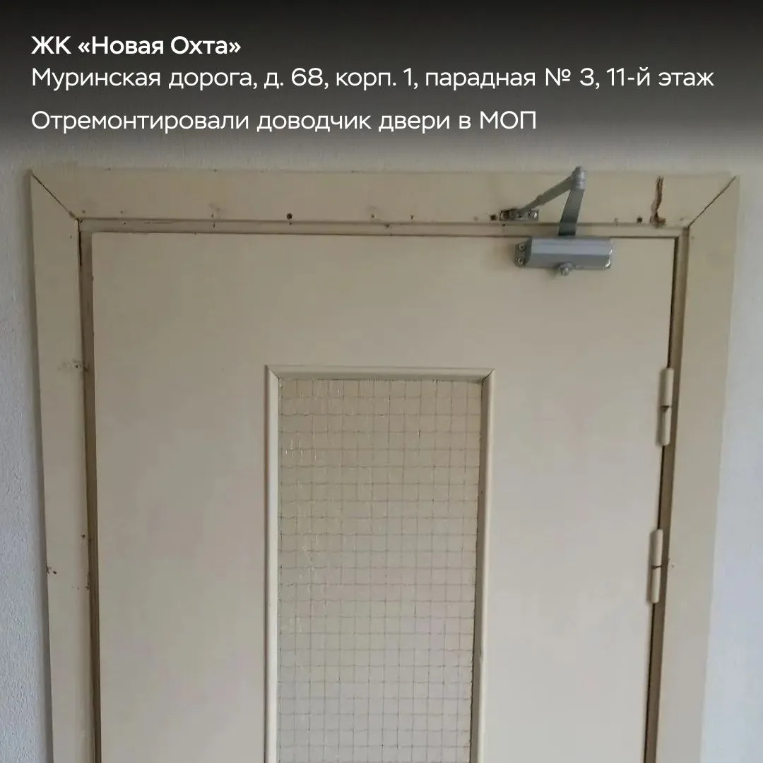 Еженедельный отчёт. Часть 2. ☀️