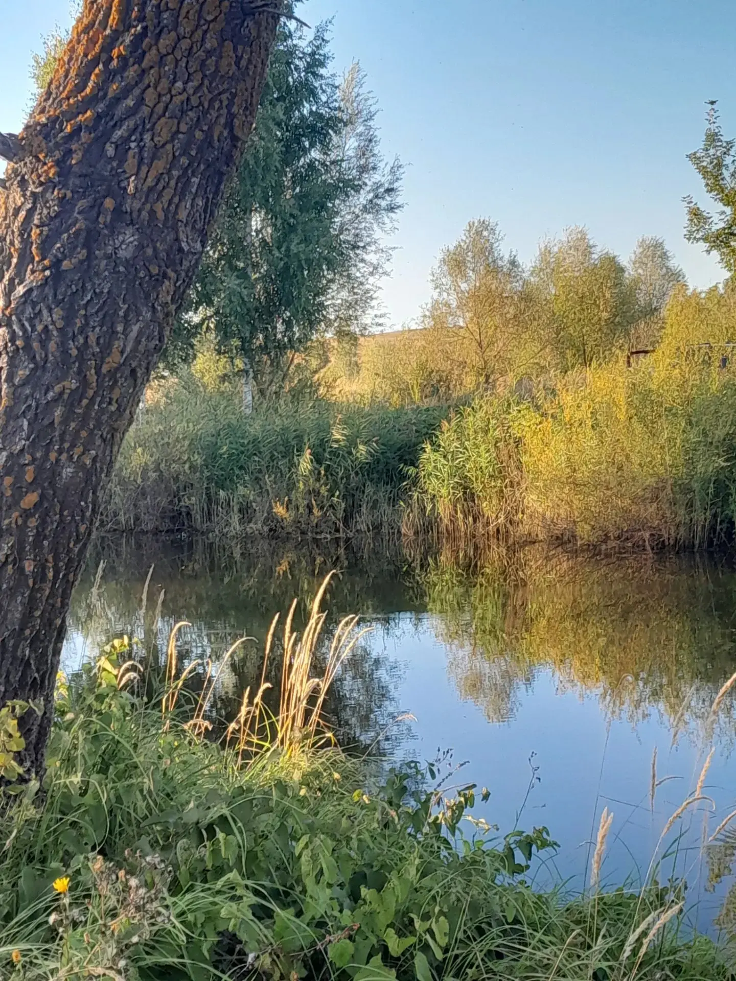 Доброе утро, музейные люди! 🌞