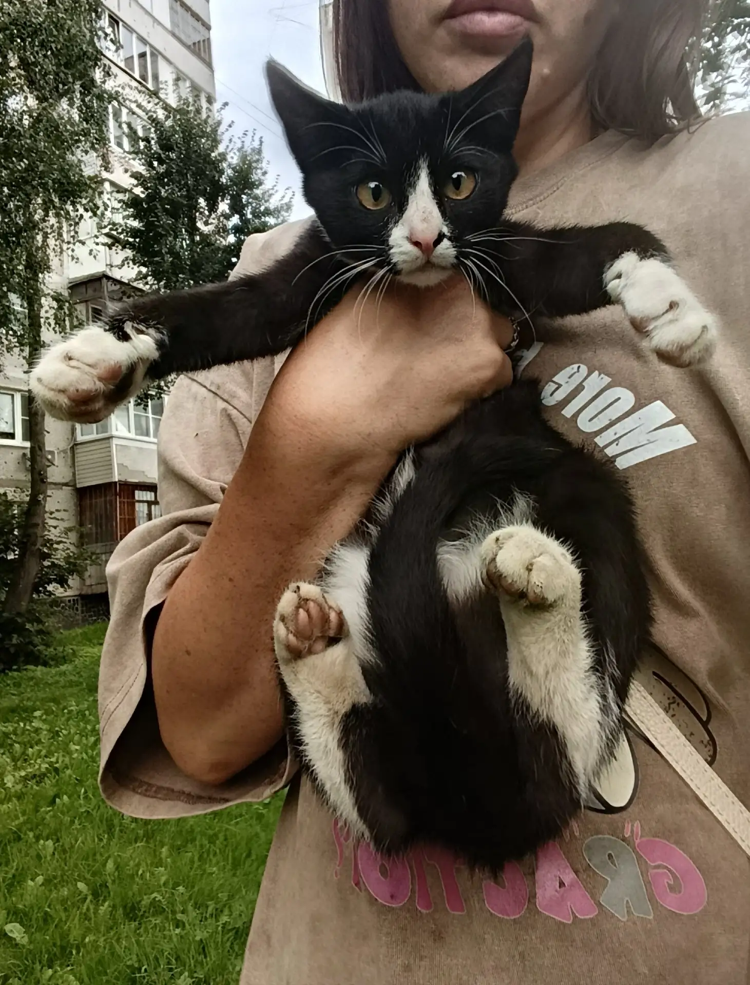 В добрые руки котенок  мальчик. Спокойный, ласковый, игривый. Обработан. Примерно 3 мес...