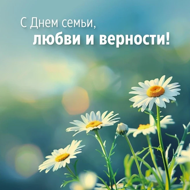 С Днём семьи, любви и верности, дорогие жители Анивского района!