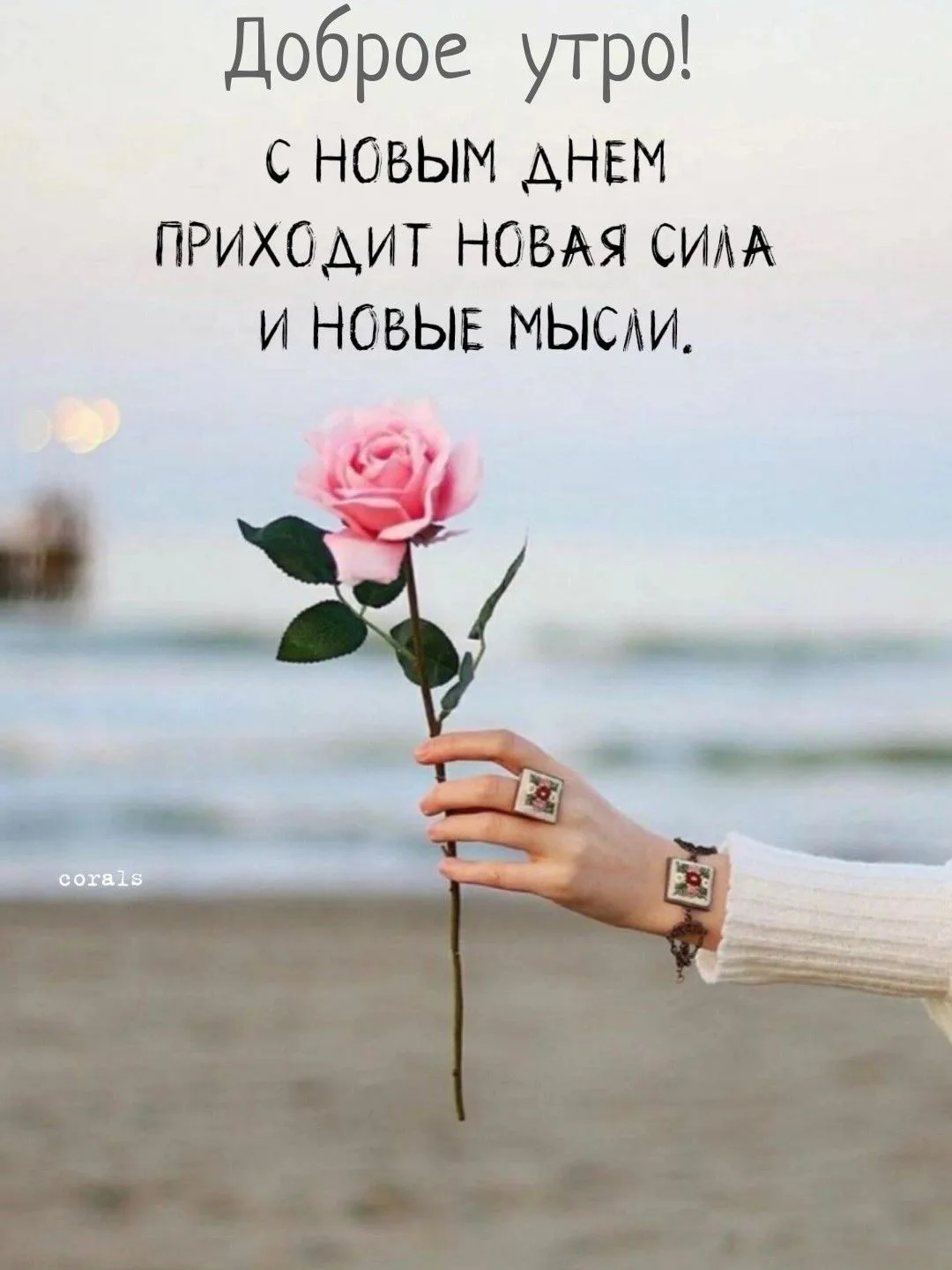 С добрым утром ❤️