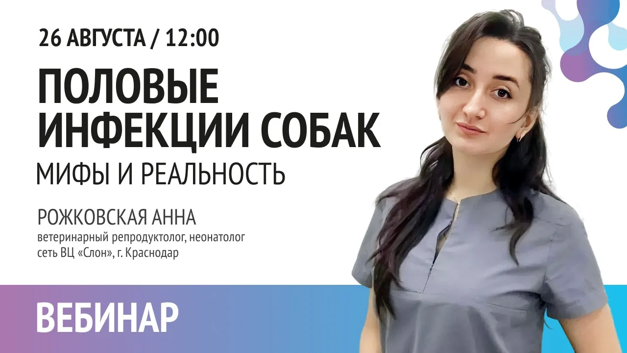 ДОБРОЕ УТРО