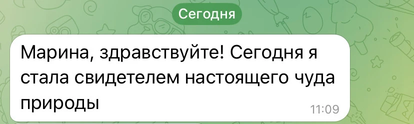 Ваши догадки, что это может быть на Мальдивах?