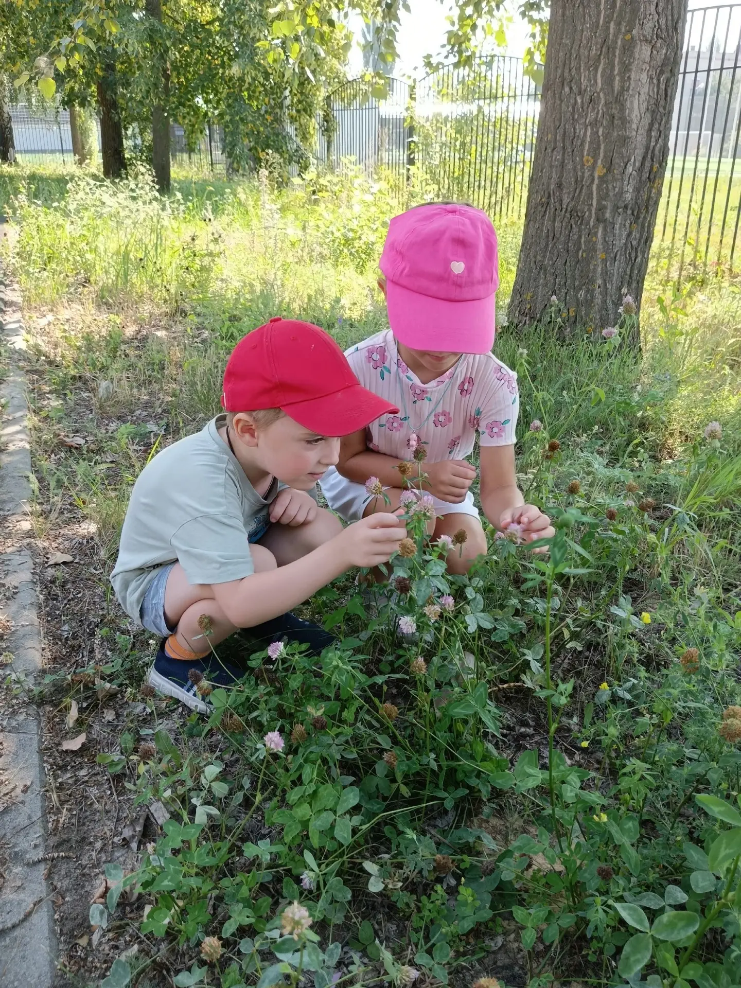 ☘️Луговые цветы - скромные, но невероятно очаровательные подарки природы. Васильки, ром...