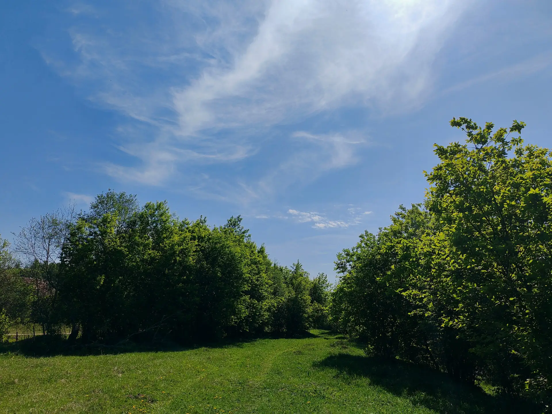 Белорецк 💚

📸Фото: Антон Анучин