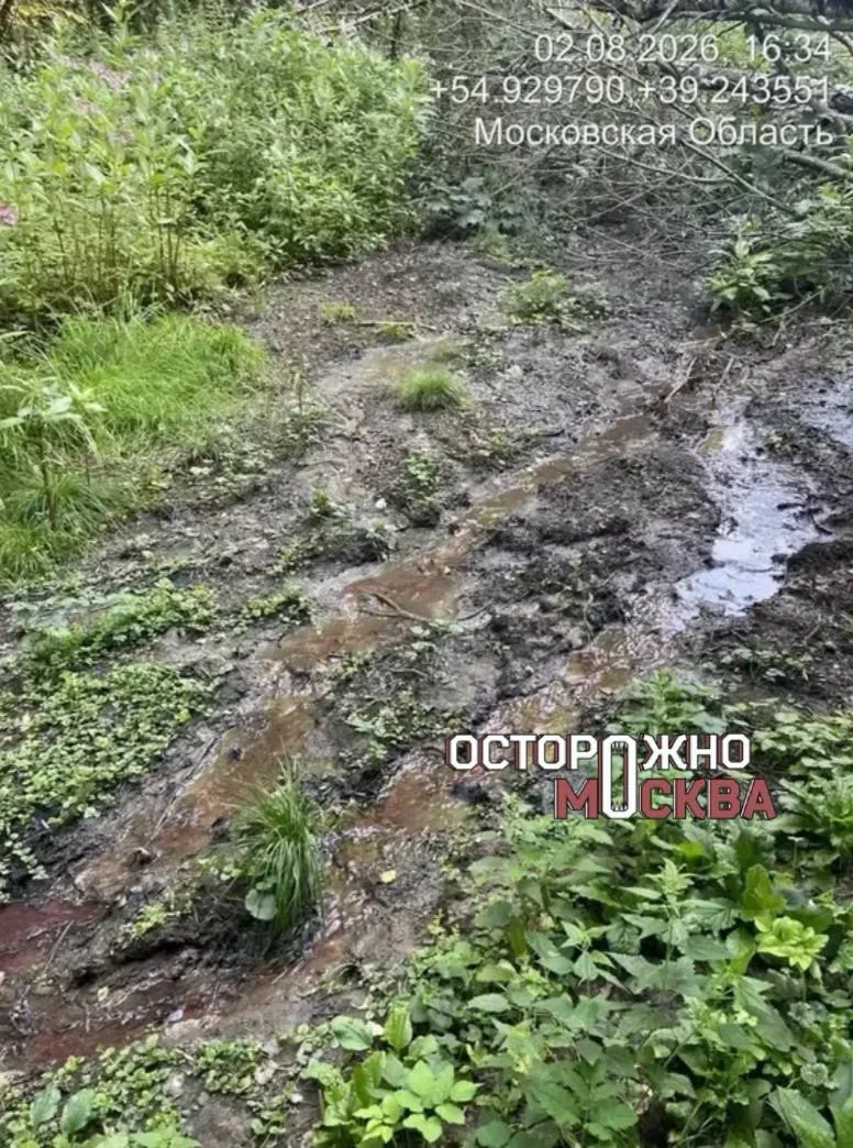 «Не можем спать и дышать»: жители деревни под Луховицами жалуются на вонь из-за стоков ...