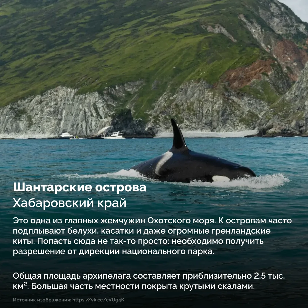 ✨ Откуда начать знакомство с богатой природой России?  Собрали в карточках уникальные заповедные мес