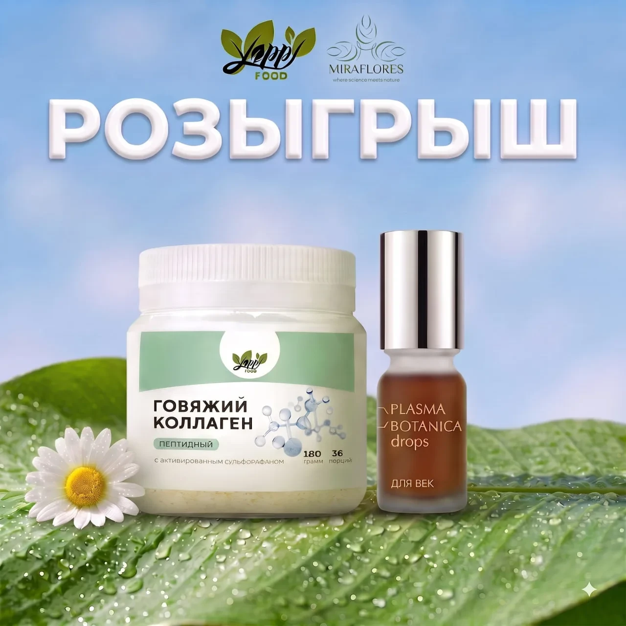 🎁 РОЗЫГРЫШ!