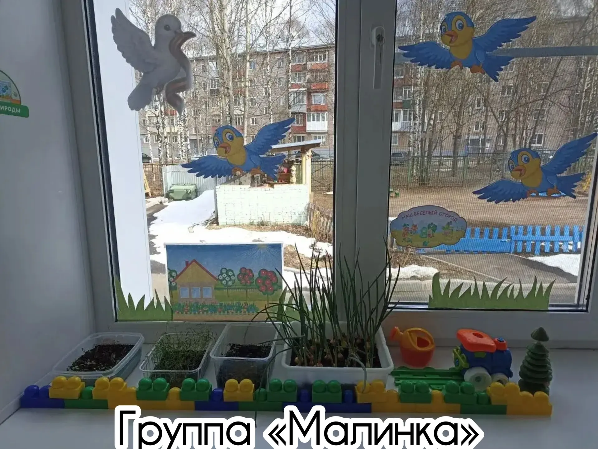 #экологическое воспитание