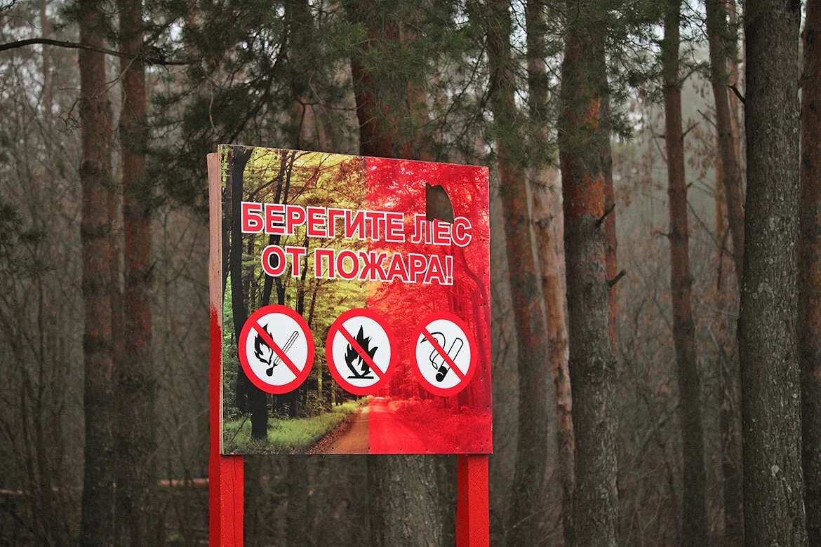 ☀ Жара — лес в опасности!
В сухую погоду огонь распространяется за считанные минуты. Потушить крупны