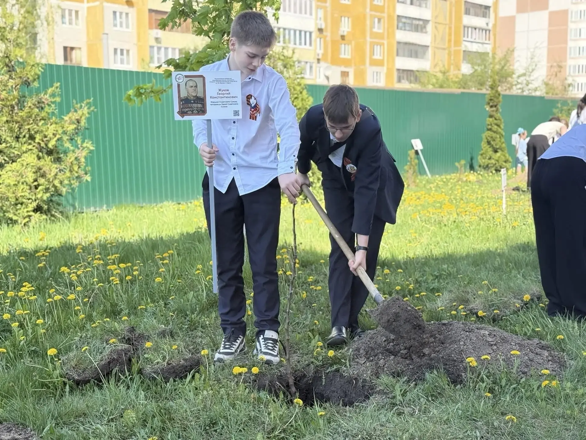 В память о героях в школах Курска посадили цветы и деревья  В преддверии Дня Победы в школе № 35 им.