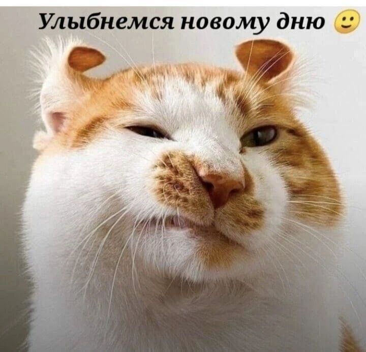 🥰Доброе утро, дорогие соседи!