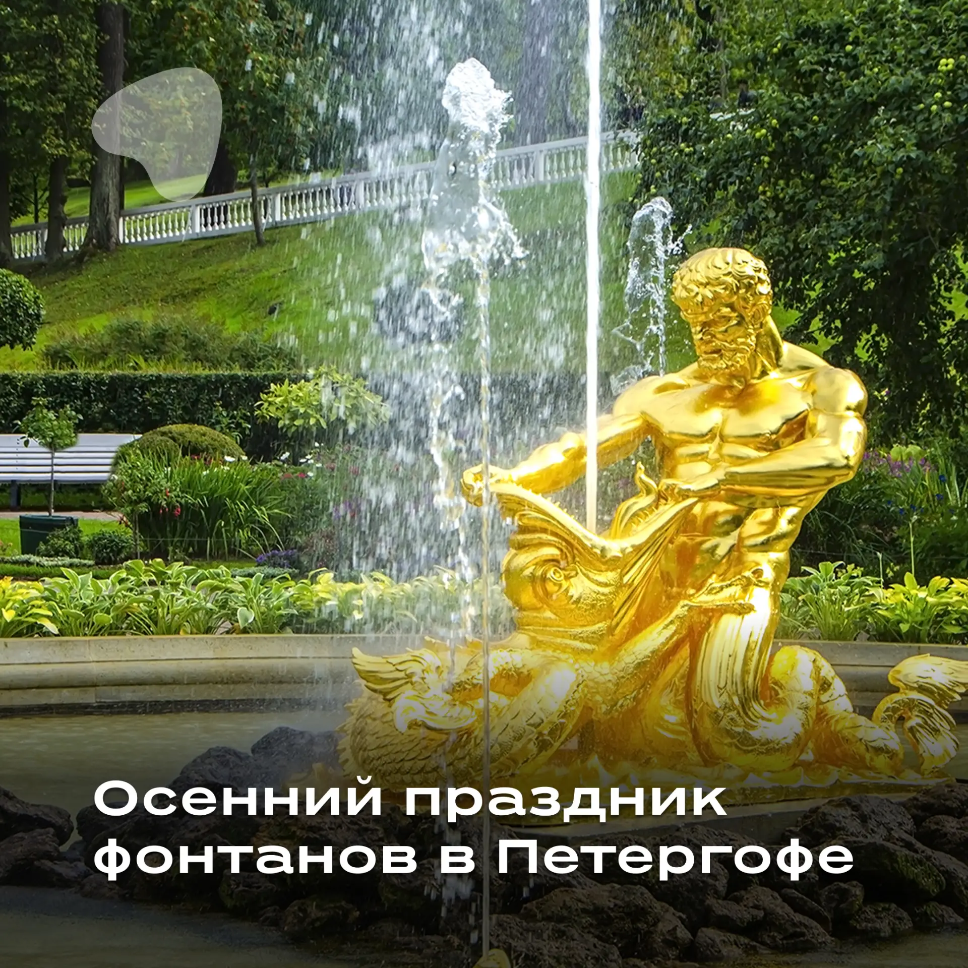 Фонтаны Петергофа: успеть посмотреть финал сезона ⛲