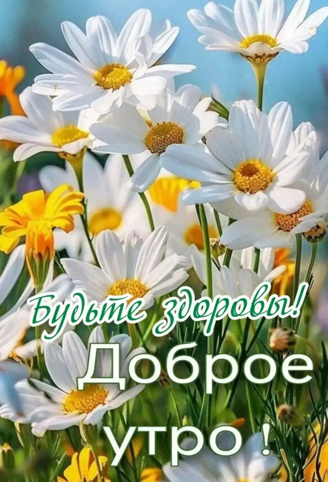 💐ЖИВАЯ СКАЗКА 💐
