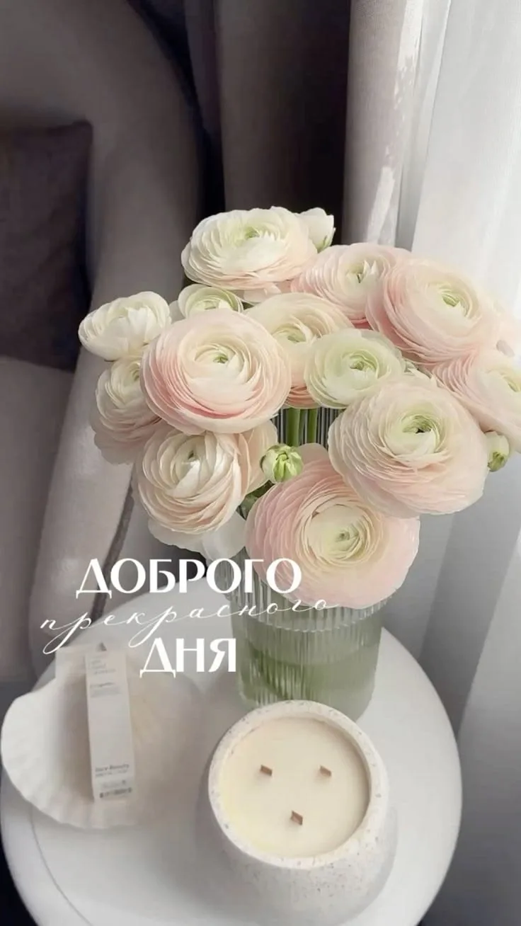 Делитесь открыткой с друзьями и поддерживайте реакцией