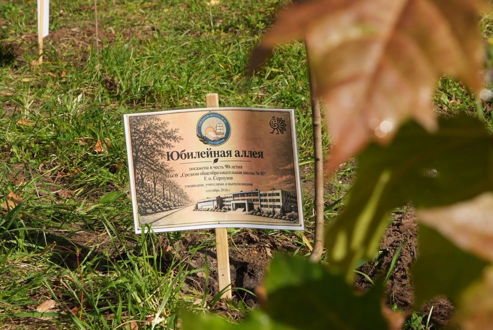 🌳 В Серпухове после капремонта школ и детсадов высаживают новые аллеи.