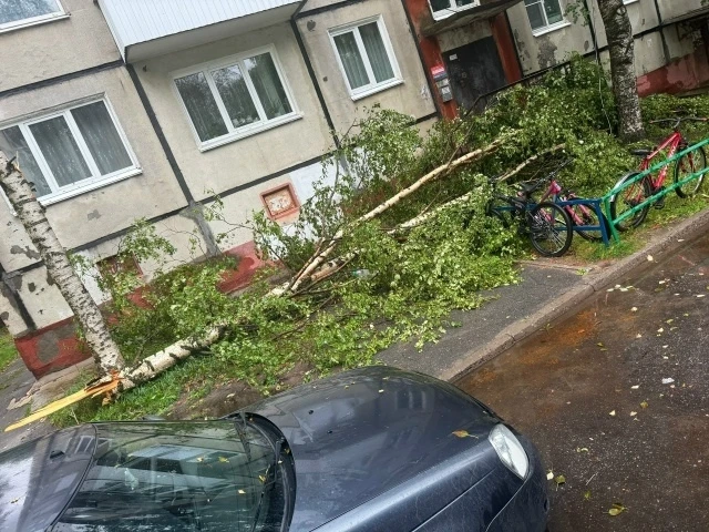 В воскресенье вечером, спасатели устраняли последствия сильного ветра. У дома № 10 по у...