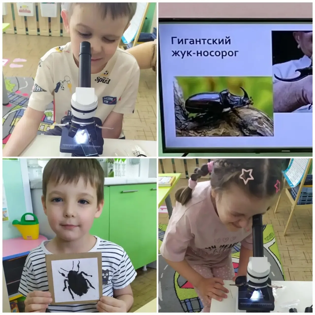 🐞 Час научных игр в «Солнышке»: мы стали юными энтомологами! 🎉

В нашей группе прошел невероятно п