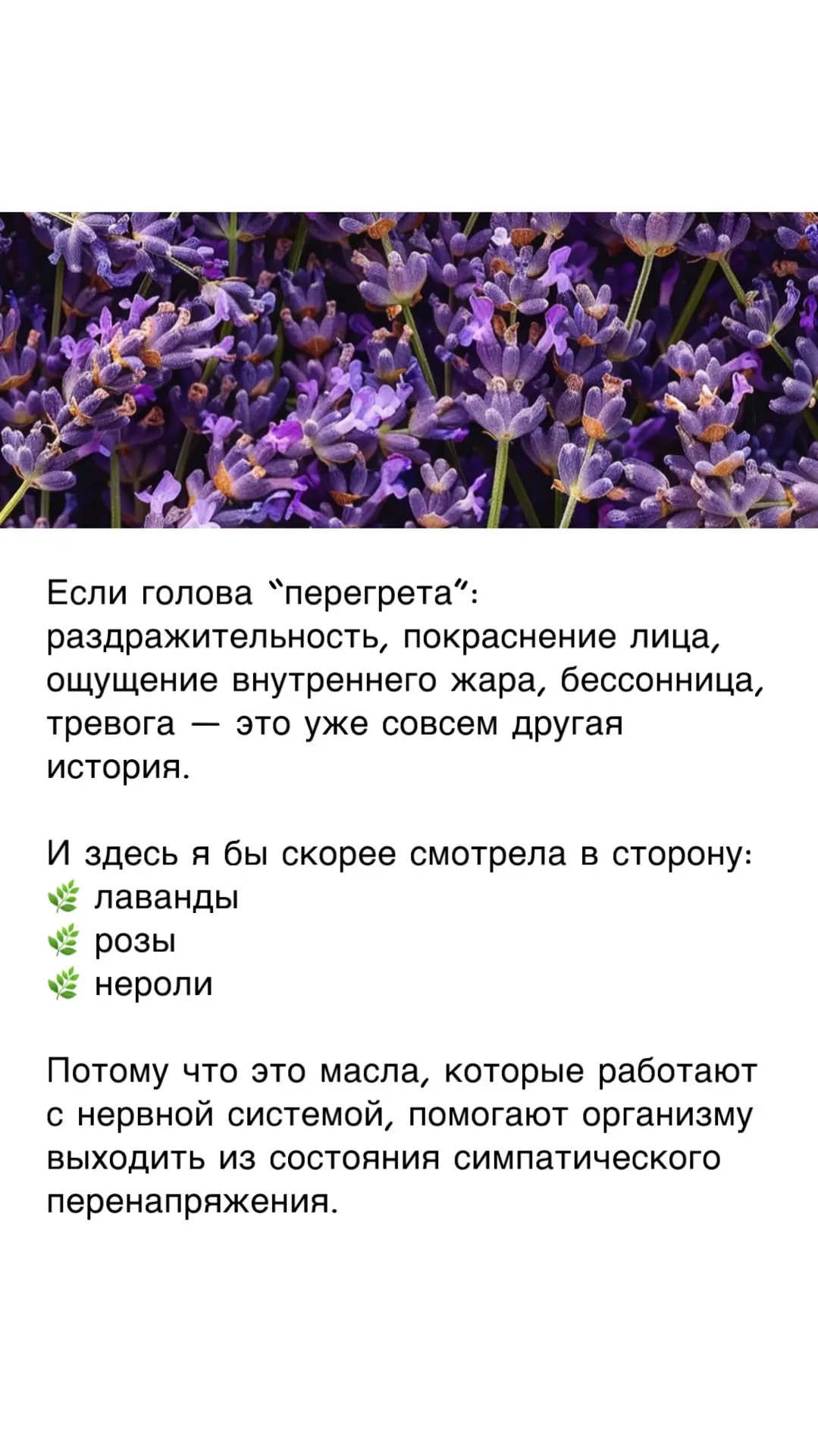 Одна из самых частых ошибок современного человека пытаться лечить симптом, не понимая е...
