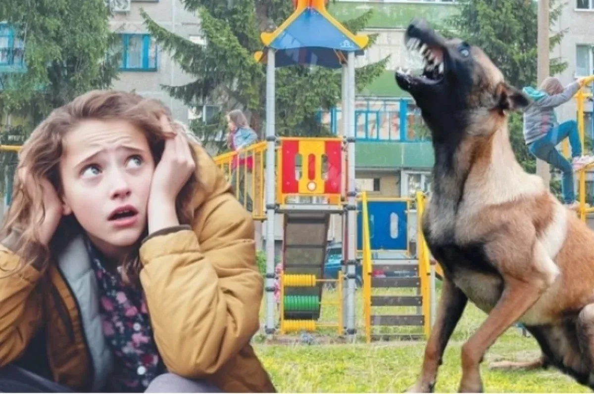 В Набережных Челнах собаку наказали рублём! Ну, почти. В апреле стая безнадзорных собак бегала по де
