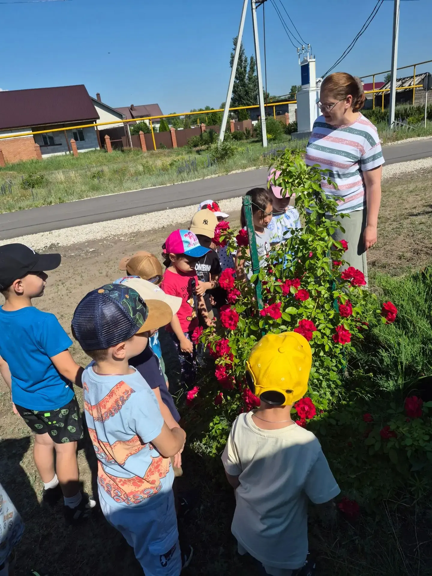Сегодня наши маленькие воспитанники вышли на прогулку! ☀️

Июнь подарил нашему садику настоящее волш
