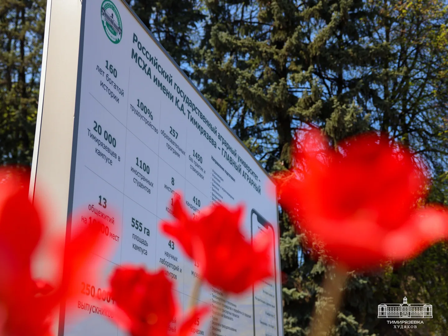 555 гектаров весеннего вдохновения
