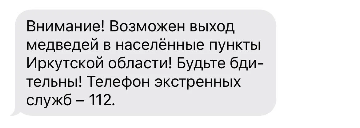 Девять медведей отстрелили за сутки в Иркутской области