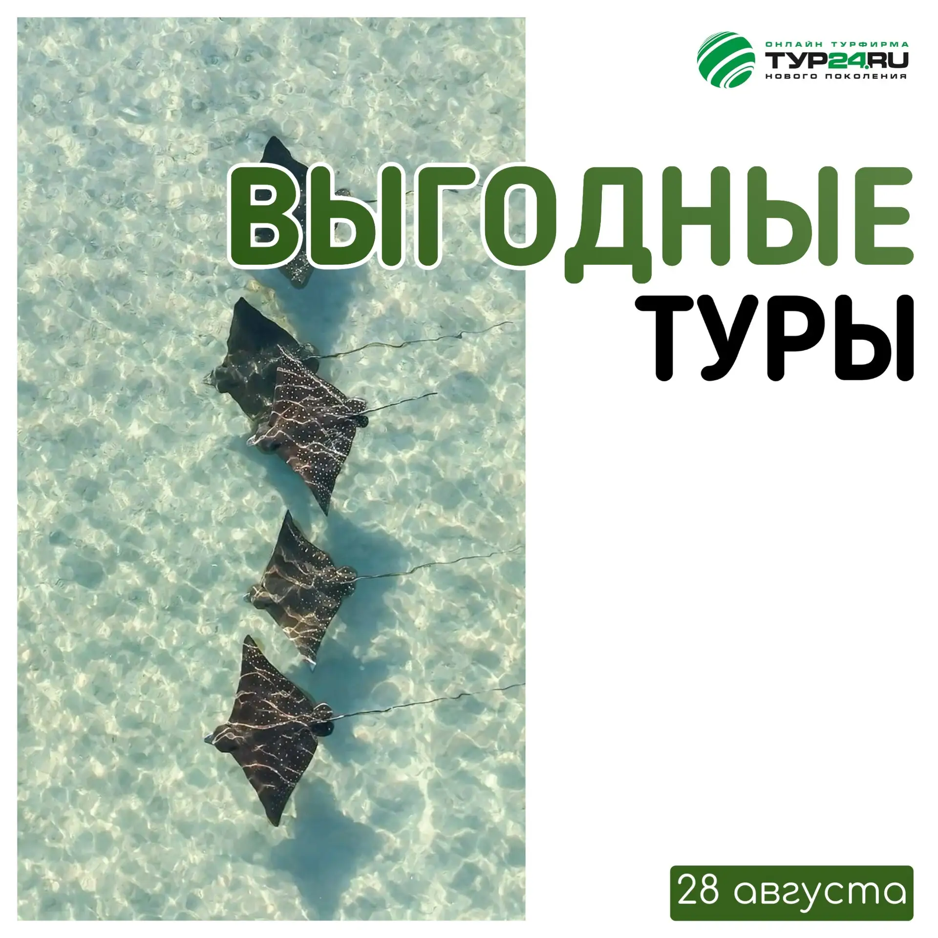 Выгодные туры на 28 августа 💚