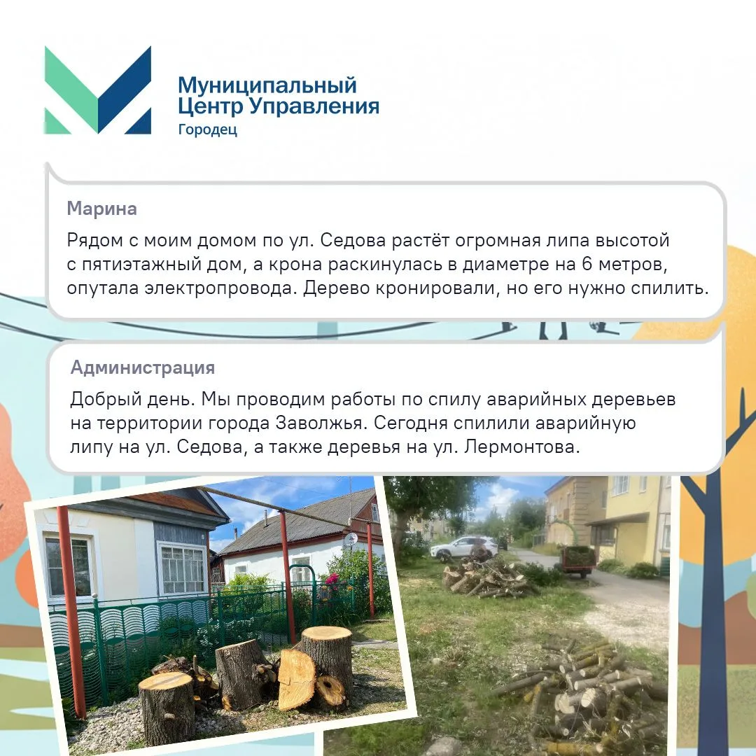 Летом в ЦУР приходят сообщения от нижегородцев, которые просят скосить траву в конкретн...