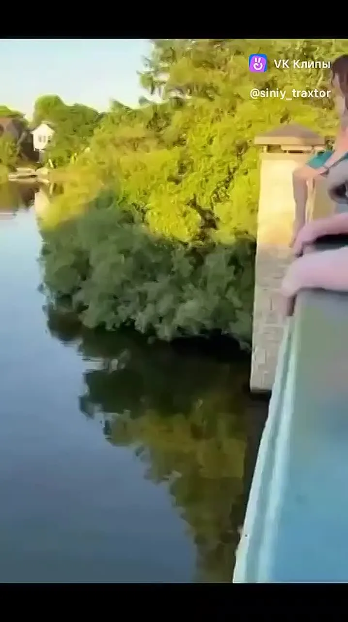 Видео: https://vk.ru/clip-181083888_456239975