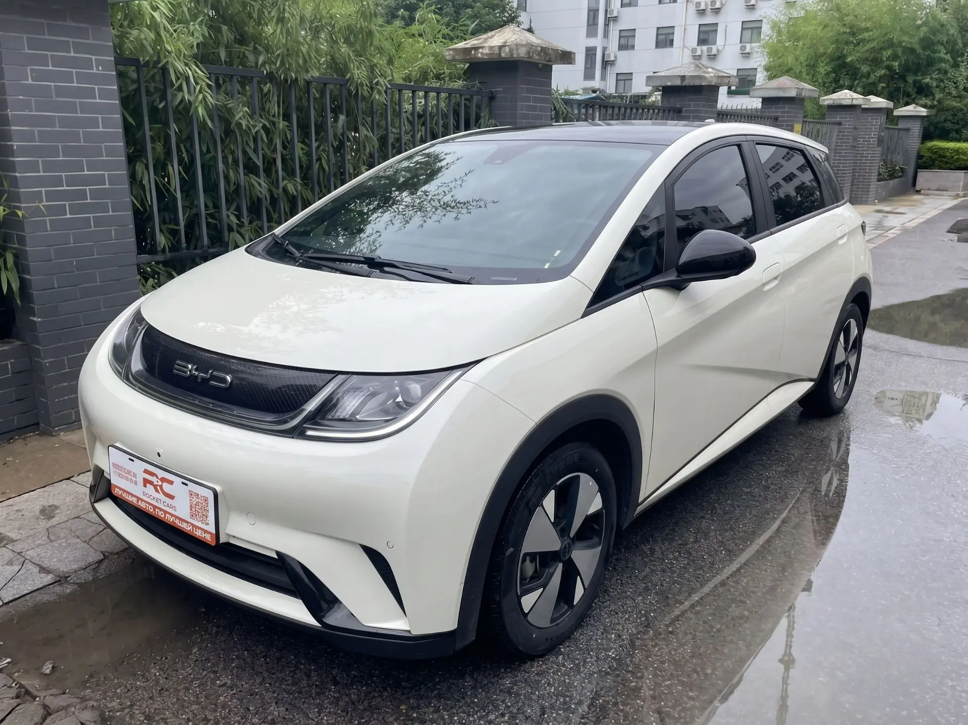 🚗 BYD Dolphin Fashion Edition