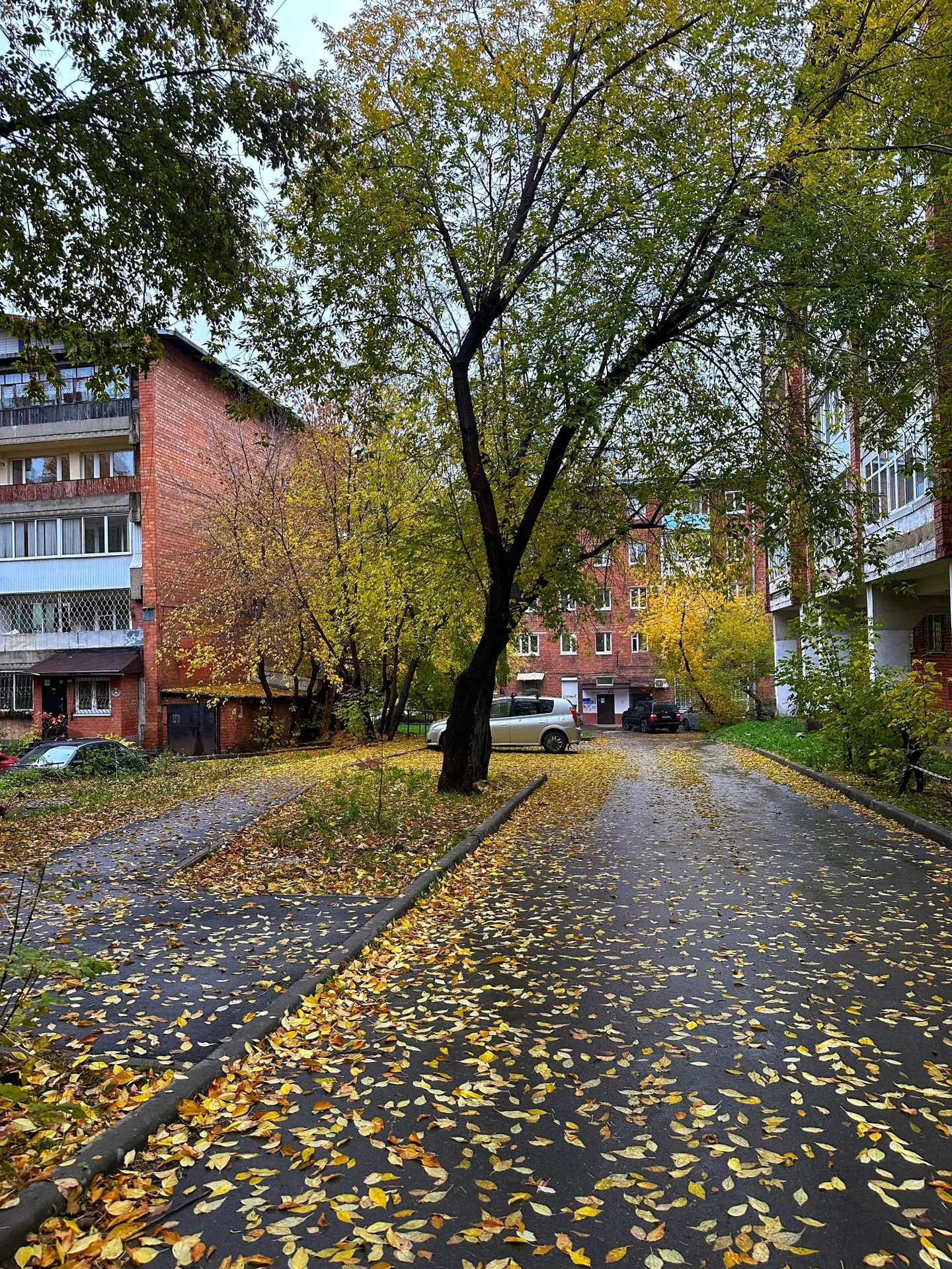 🍂 Доброе утро, Иркутск!