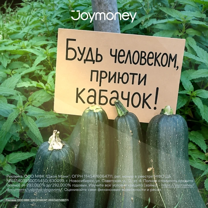 🥒 Кабачки растут как на дрожжах, а деньги почему-то нет