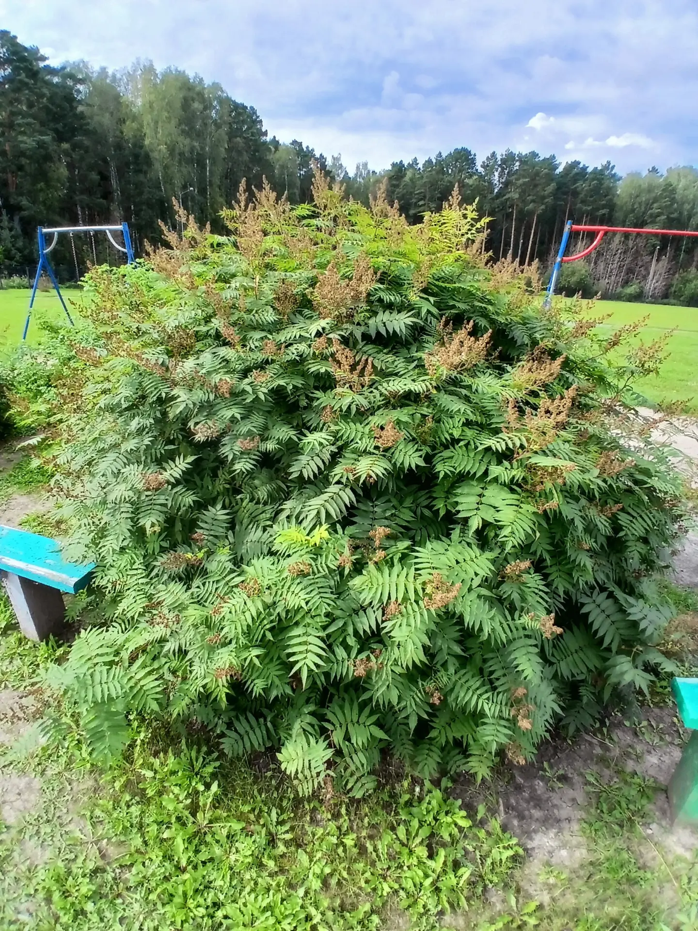 ⚡️Солнечный августовский день, 17 августа. И снова кипит работа! И снова наши дети с де...