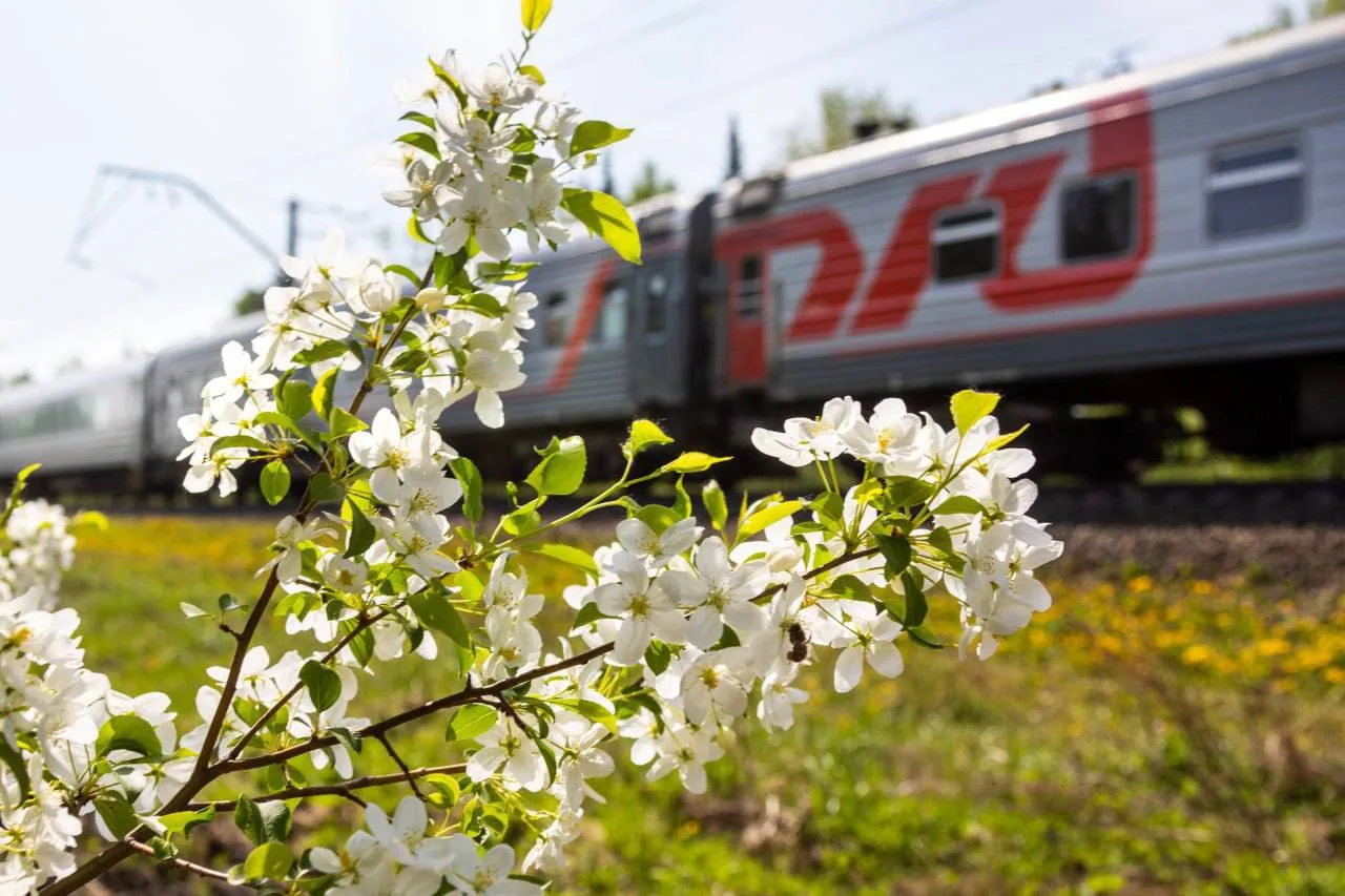 🌸Май балует теплом, а города и станции Горьковской магистрали утопают в цветах. Самое ...