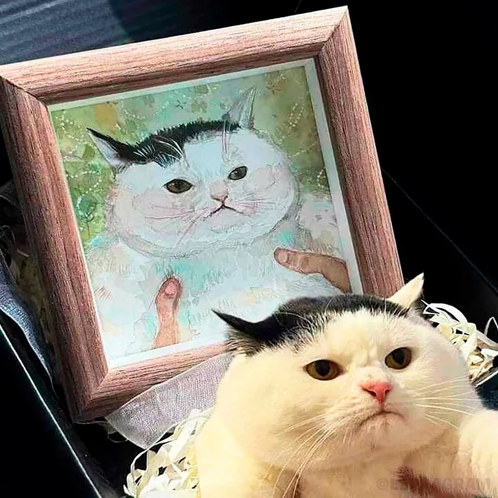 Заказчик недоволен