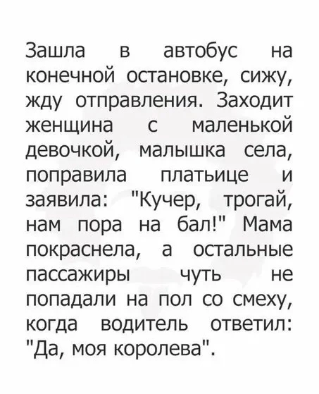 В петербургском автобусе)