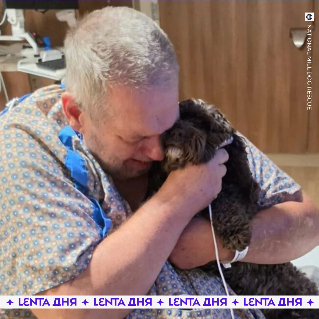🐶 Собака помогла хозяину вовремя узнать о серьёзной болезни.

Собаку Лолу спасли с фермы, где она п