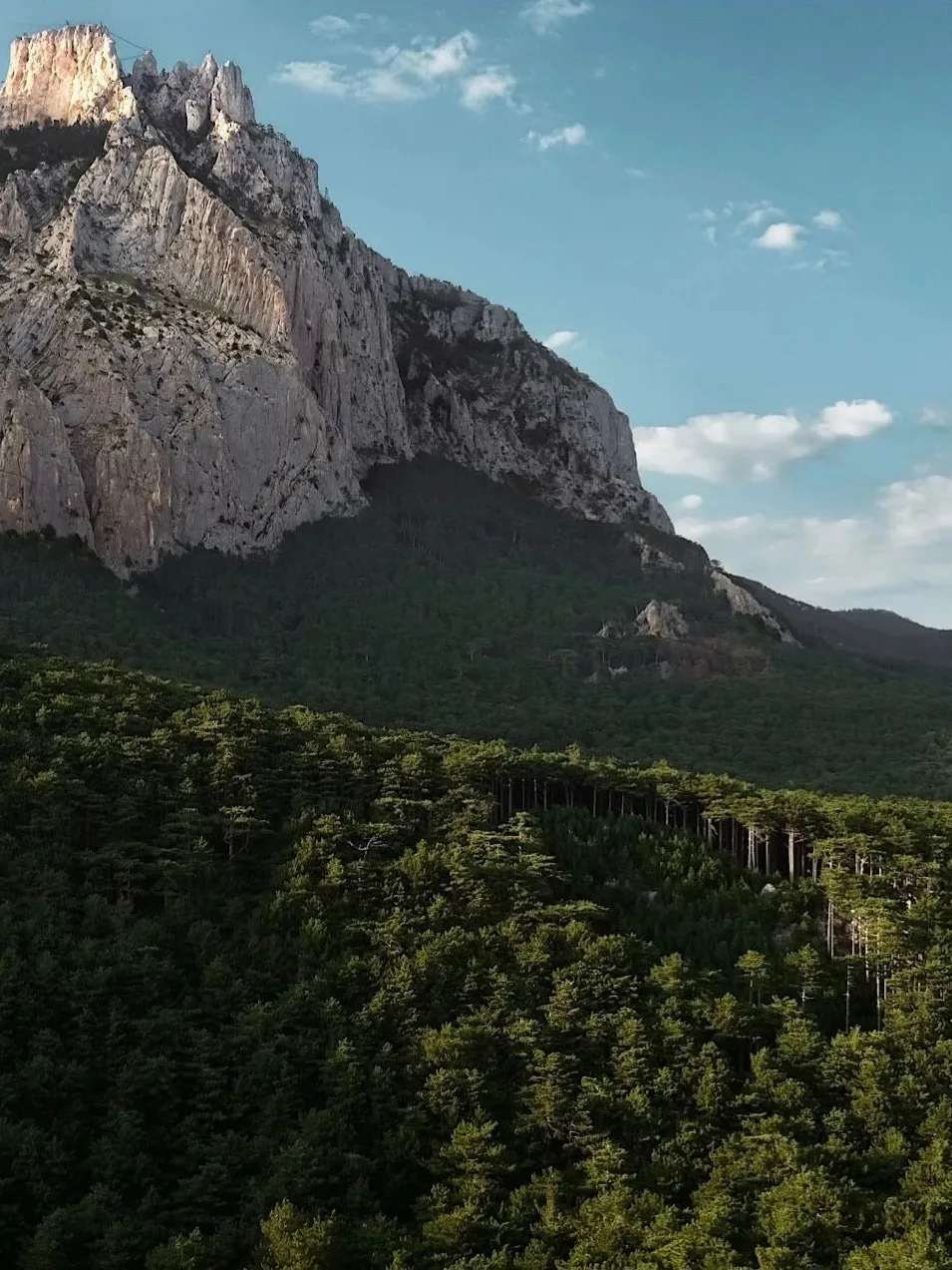 Тропа Алупка-Исары - красивый и несложный маршрут Ялтинского заповедника.

🌲 Путь хорошо промаркиро