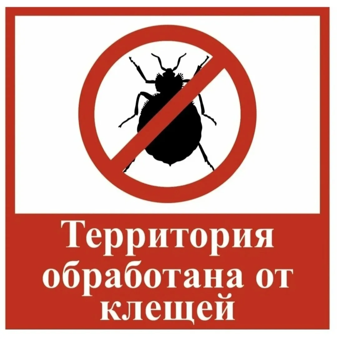 ✅Внимание, сегодня 18 мая 2026 года на территории МОБУ Черняевской СОШ (школьный двор, ...